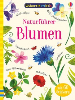 Naturführer: Blumen von Usborne Verlag