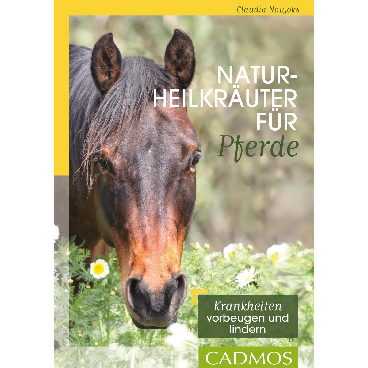 Naturheilkräuter für Pferde Naturheilkräuter für Pferde von Cadmos Verlag GmbH