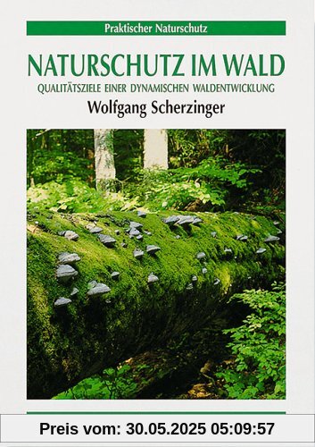 Naturschutz im Wald: Qualitätsziel einer dynamischen Waldentwicklung