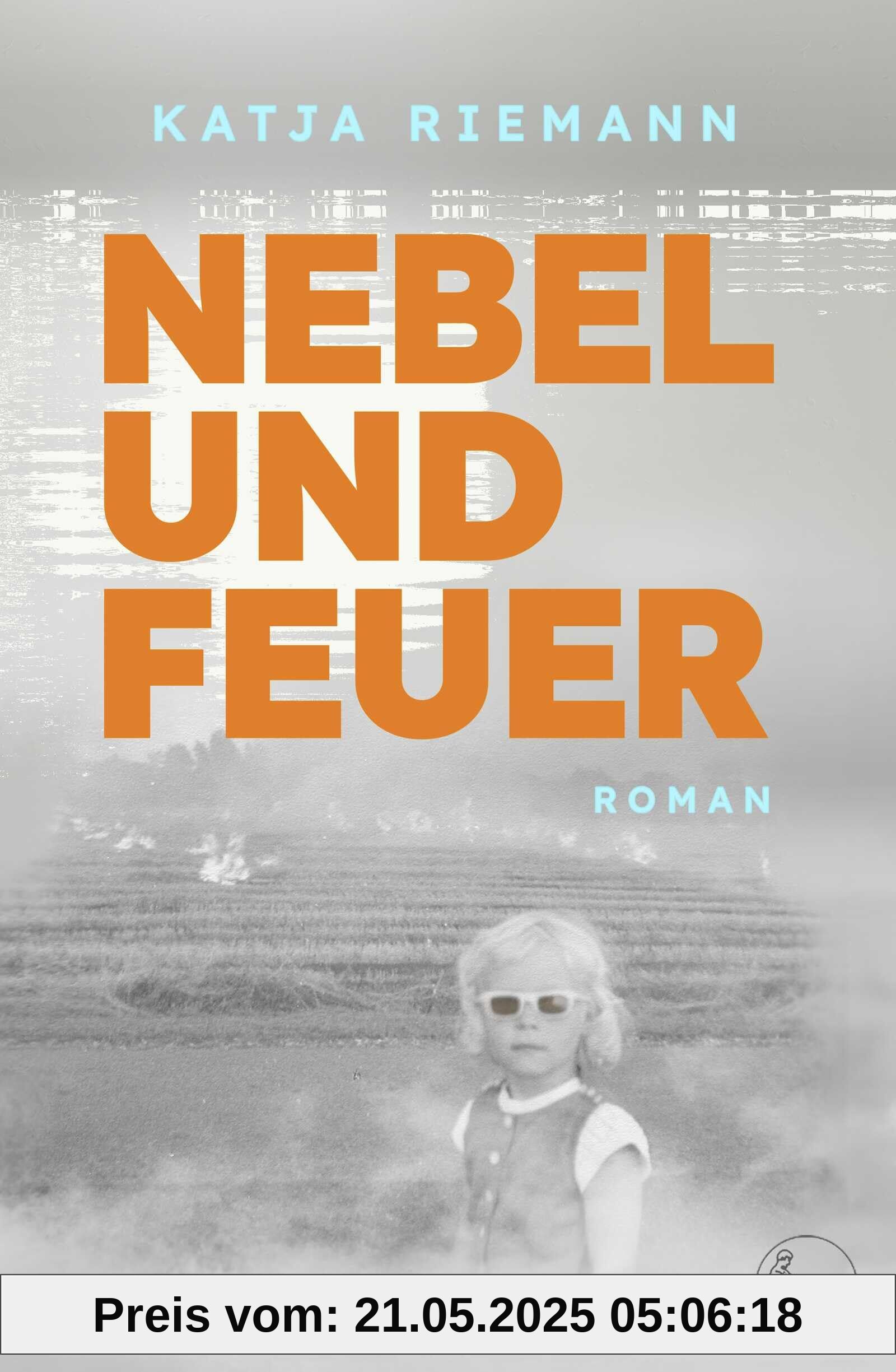 Nebel und Feuer: Roman