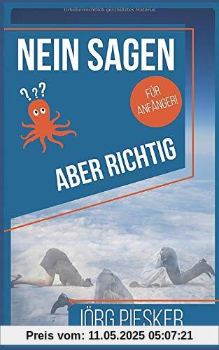 Nein Sagen - Aber richtig - Für Anfänger: Ratgeber (Jörg Piesker Ratgeber, Band 2)