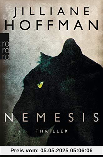 Nemesis (Die C.-J.-Townsend-Reihe, Band 4)