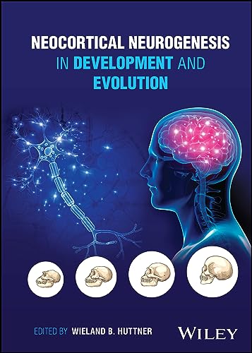 Neocortical Neurogenesis in Development and Evolution von John Wiley & Sons Inc