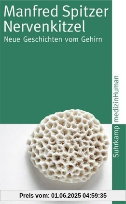 Nervenkitzel: Neue Geschichten vom Gehirn (suhrkamp taschenbuch)
