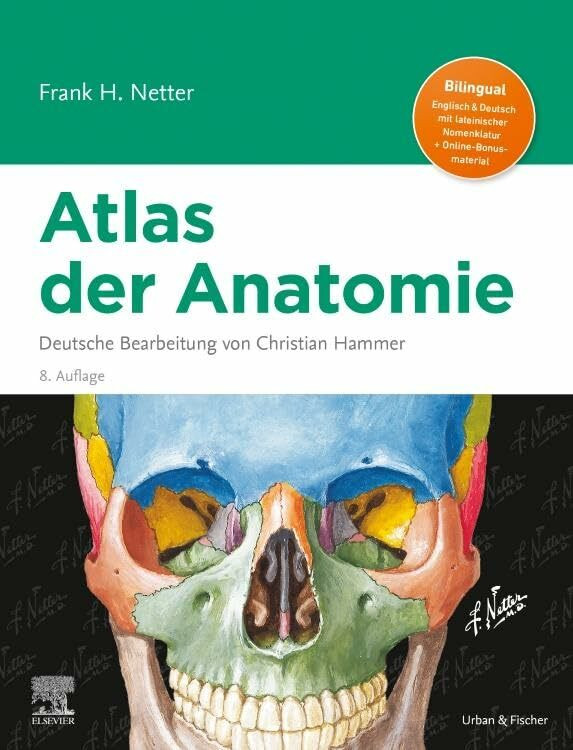 Netter Atlas der Anatomie: Deutsche Bearbeitung von Christian Hammer