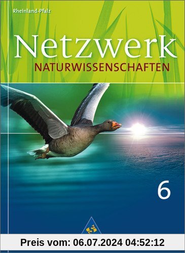 Netzwerk Naturwissenschaften - Ausgabe 2010 für Rheinland-Pfalz: Schülerband 6: Ausgabe 2009 für Gymnasien