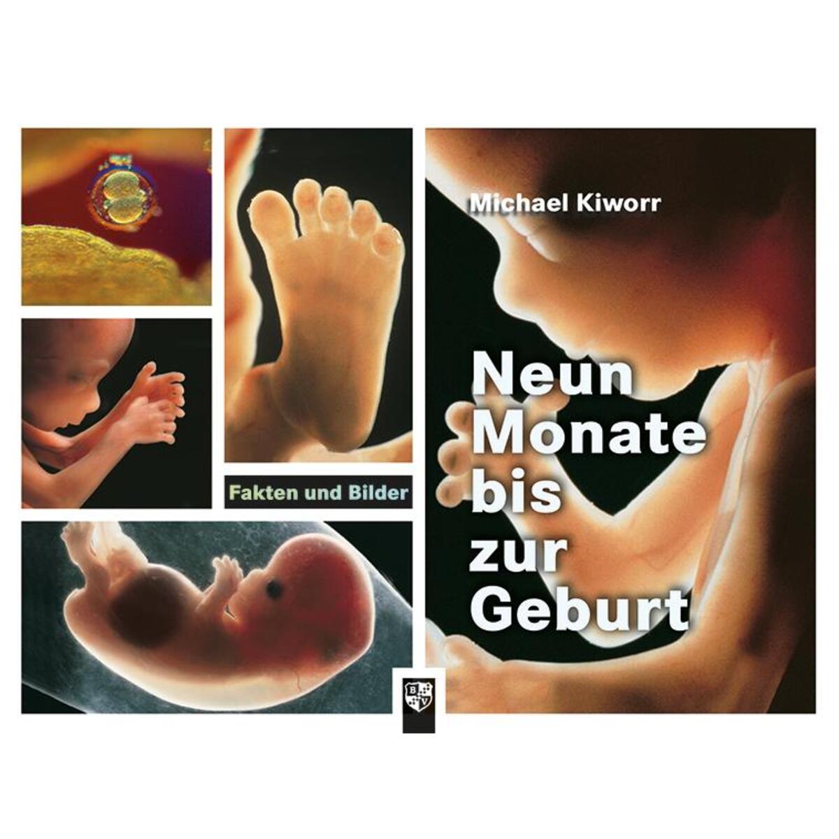 Neun Monate bis zur Geburt von Bernardus-Verlag