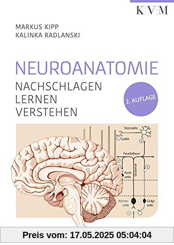 Neuroanatomie: Nachschlagen | Lernen | Verstehen