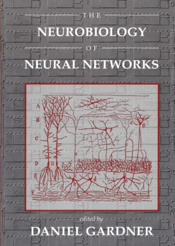 Neurobiology of Neural Networks (Computational Neuroscience)