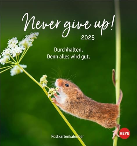 Never give up! Postkartenkalender 2025: Süße Tiere in einem Postkarten-Fotokalender mit motivierenden Botschaften. Kleiner Kalender zum Aufstellen und Aufhängen. (Postkartenkalender Heye) von Heye
