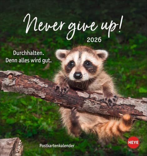 Never give up! Postkartenkalender 2026 - Durchhalten. Denn alles wird gut.: Süße Tiere in einem Postkarten-Fotokalender mit motivierenden Botschaften. ... und Aufhängen. (Postkartenkalender Heye) von Heye