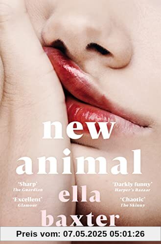 New Animal