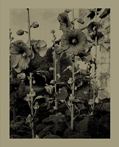 Nicholas Nixon: Closing the Distance (Fotografie)