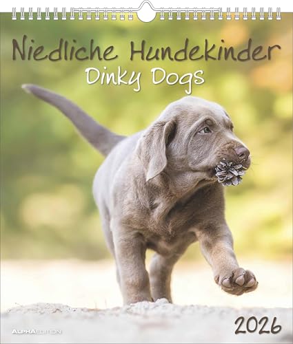 Niedliche Hundekinder 2026 - Wand-Kalender - Tier-Kalender - 30x34: Dinky Dogs von ALPHA EDITION