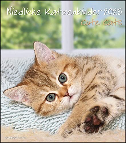 Niedliche Katzenkinder 2023 - Wand-Kalender - Tier-Kalender - 30x34: Cute Cats von Alpha Edition