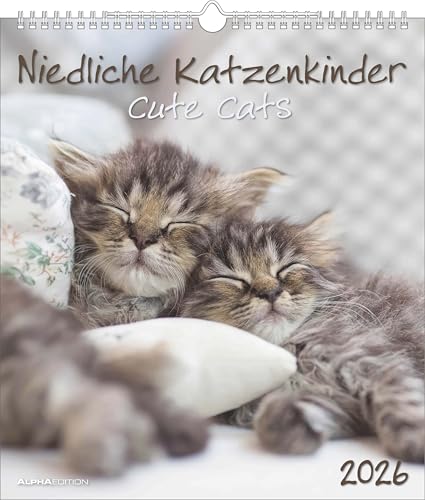 Niedliche Katzenkinder 2026 - Wand-Kalender - Tier-Kalender - 30x34: Cute Cats von ALPHA EDITION