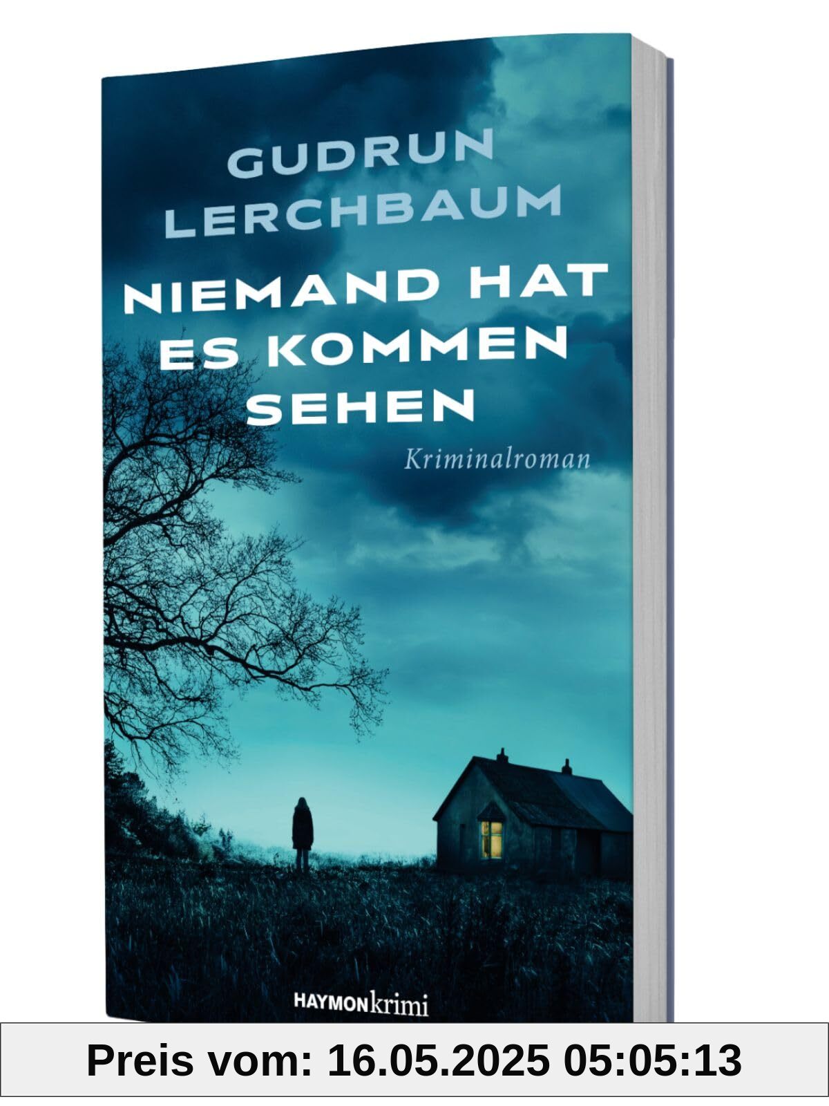 Niemand hat es kommen sehen. Kriminalroman