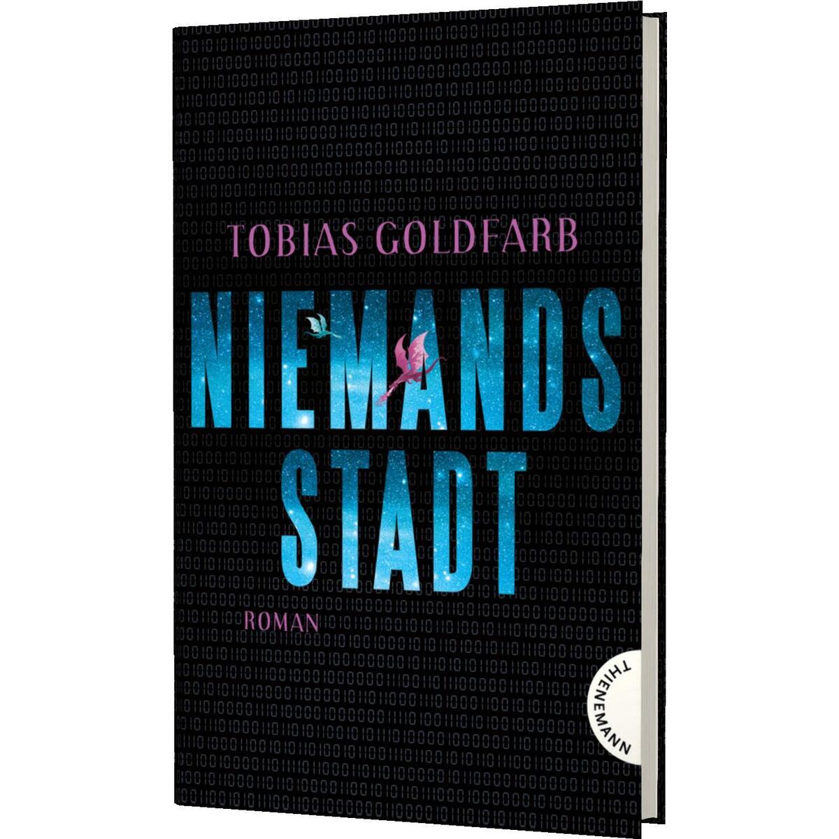 Niemandsstadt Niemandsstadt von Thienemann