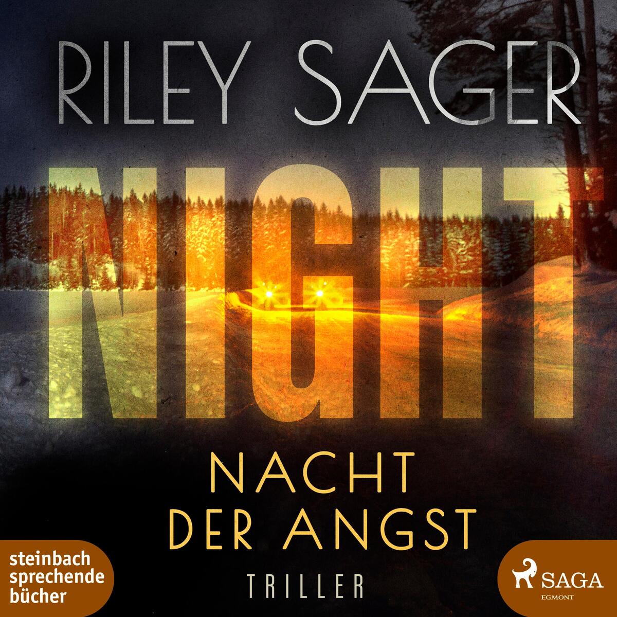 Night von Steinbach Sprechende