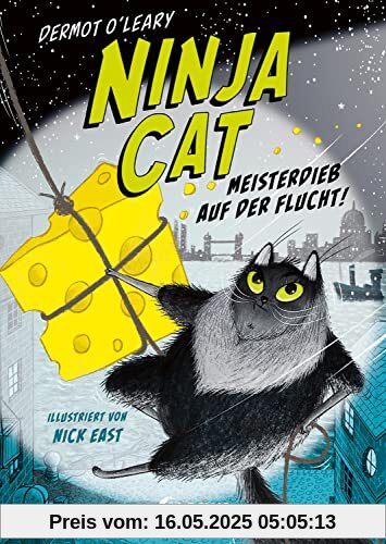 Ninja Cat (Band 2) - Meisterdieb auf der Flucht!: Begib dich auf das zweite Abenteuer mit Katze Toto - Humorvolles Kinderbuch zum Selberlesen ab 8 Jahren