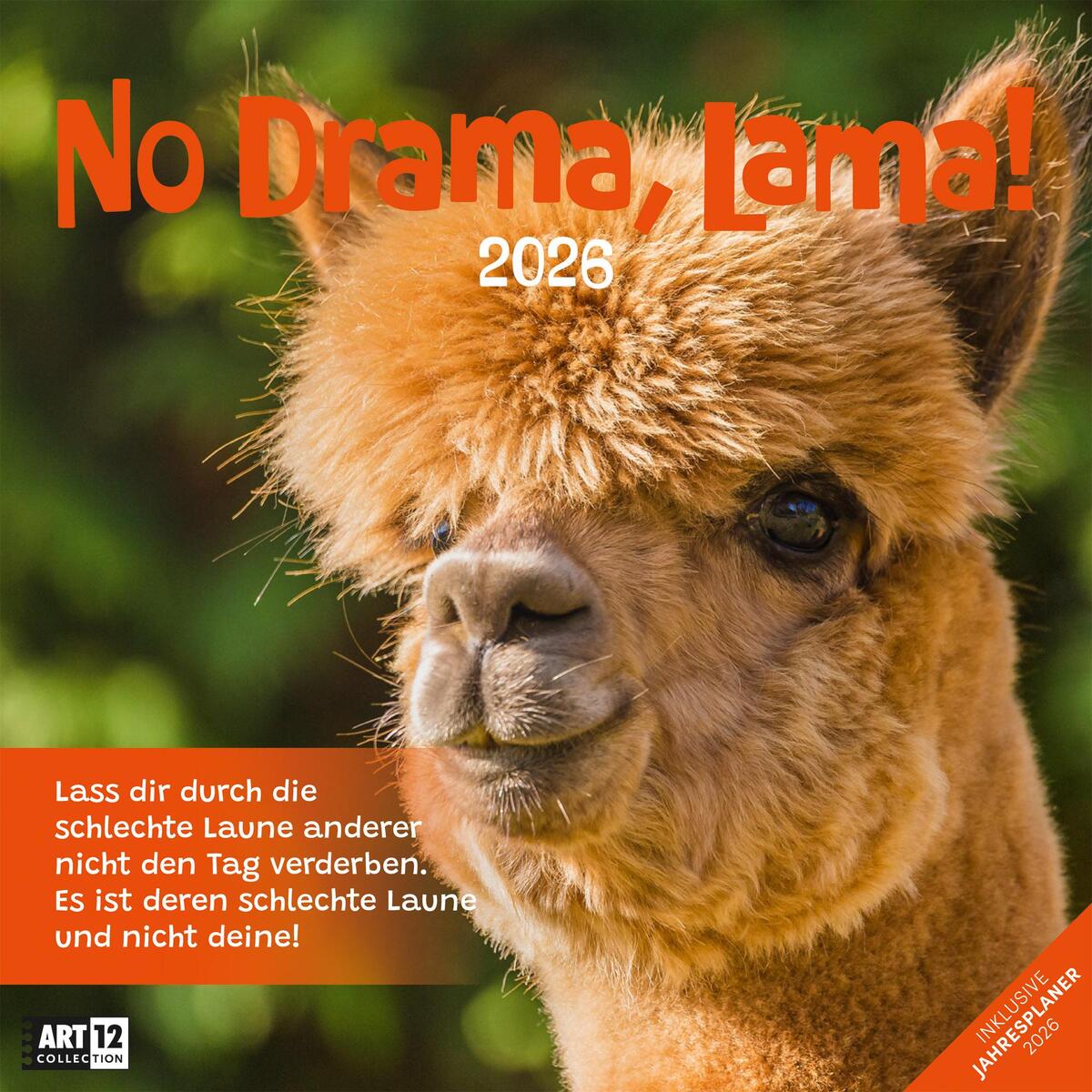 No Drama, Lama Broschürenkalender 2026 - 30x30 - Art12 No Drama, Lama Broschürenkalender 2026 - 30x30 - Art12 von Ackermann Kunstverlag