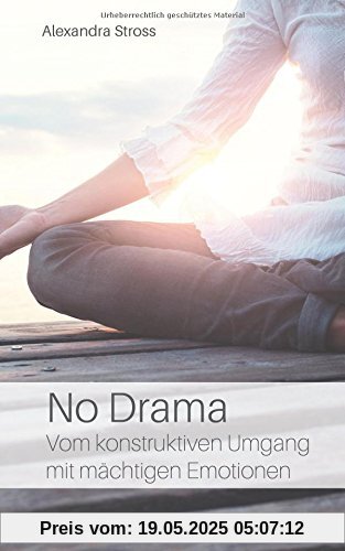 No Drama: Vom konstruktiven Umgang mit mächtigen Emotionen