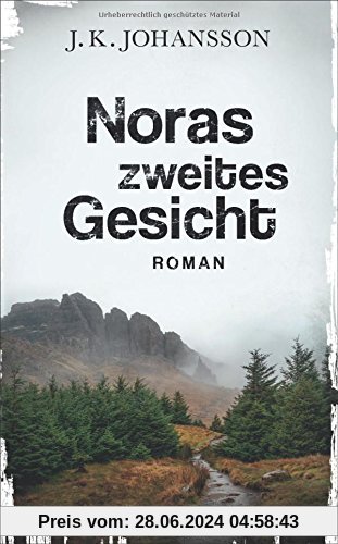 Noras zweites Gesicht: Roman (Palokaski-Trilogie)