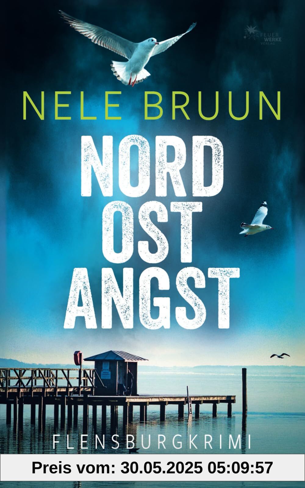 NordOstAngst (Flensburg-Krimi) (Küstenkrimi)
