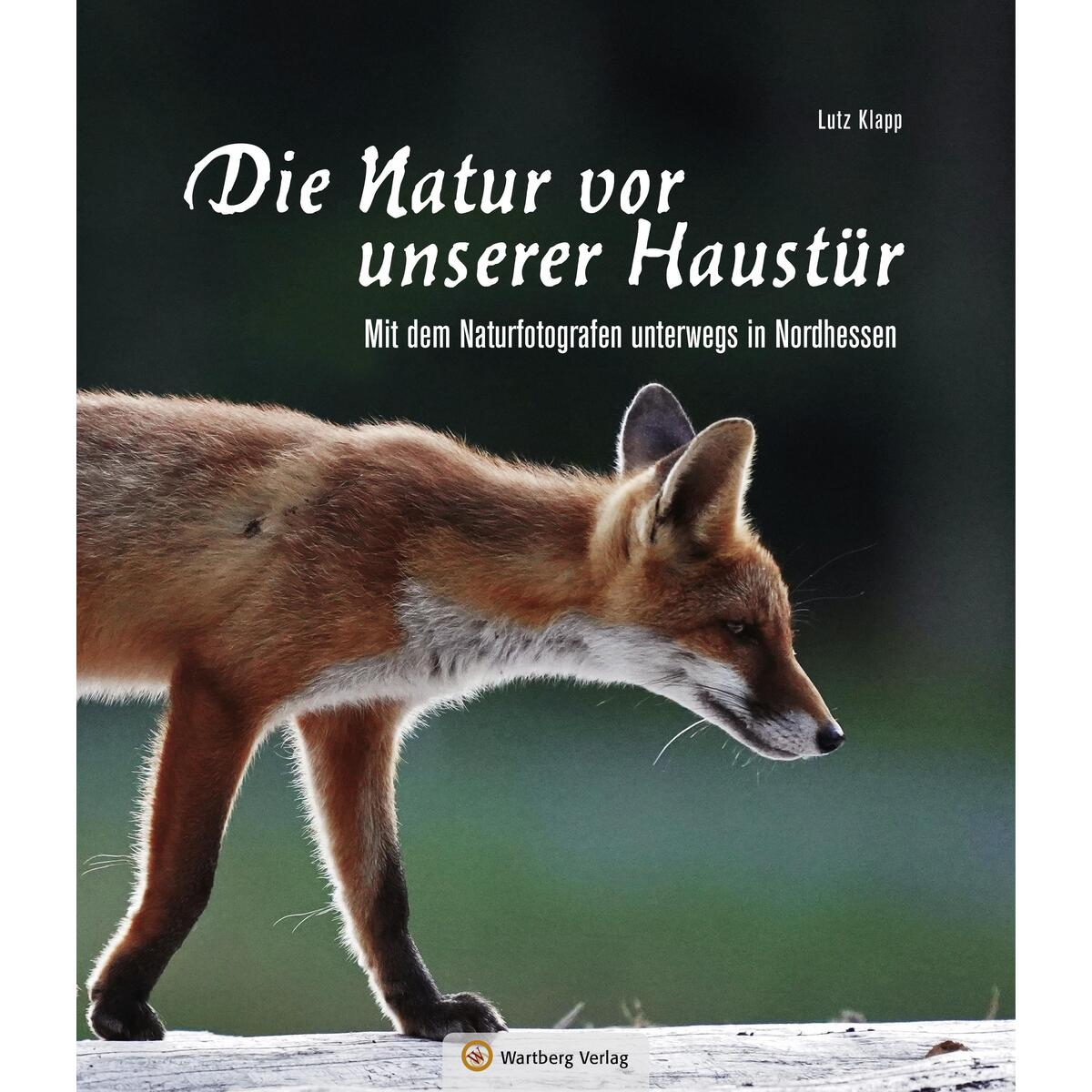 Nordhessen - Die Natur vor unserer Haustür von Wartberg Verlag