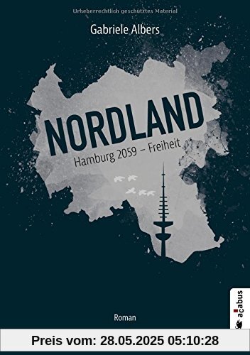 Nordland. Hamburg 2059 - Freiheit: Roman (Dystopie)