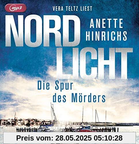 Nordlicht - Die Spur des Mörders (Boisen & Nyborg ermitteln, Band 2)