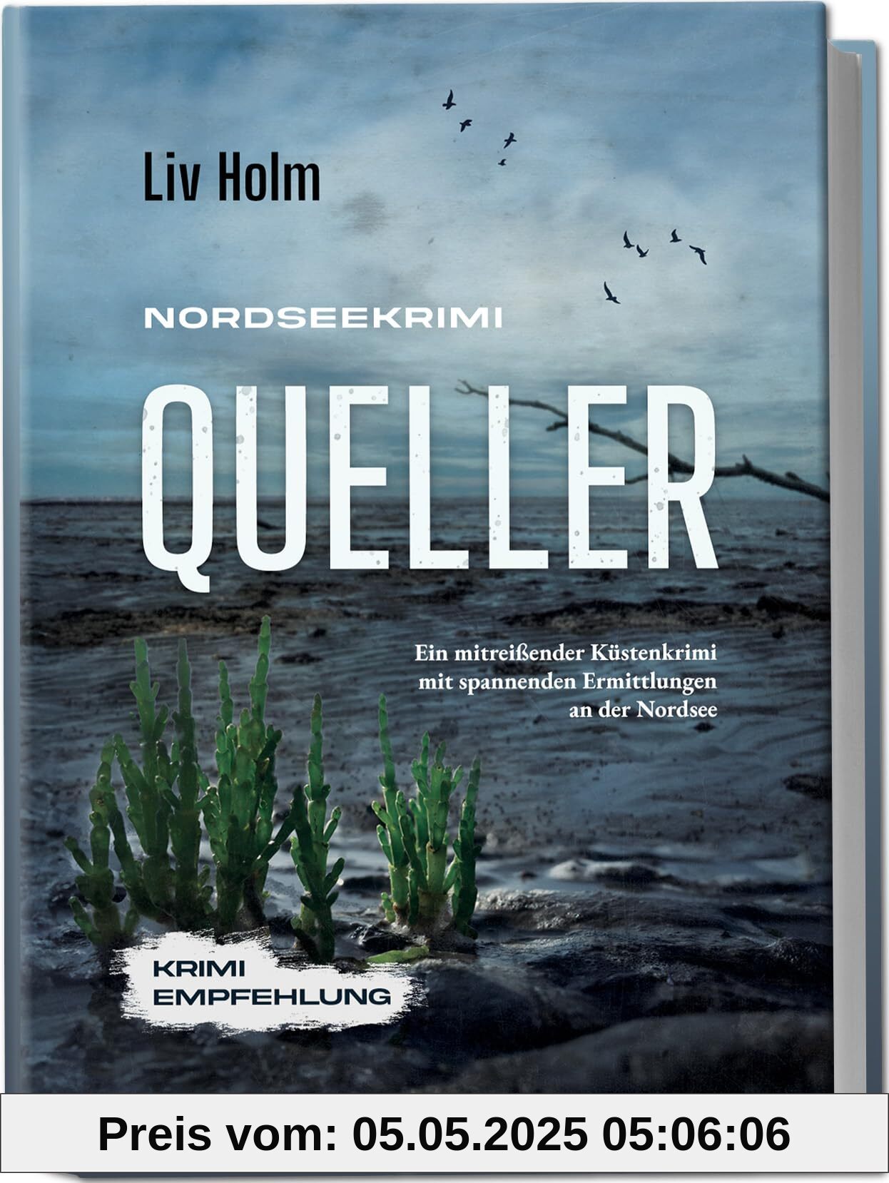Nordseekrimi Queller: Ein mitreißender Küstenkrimi mit spannenden Ermittlungen an der Nordsee - Krimi Empfehlung (Nordseekrimi Serie, Band 5)