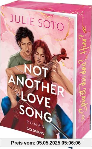 Not Another Love Song: Roman