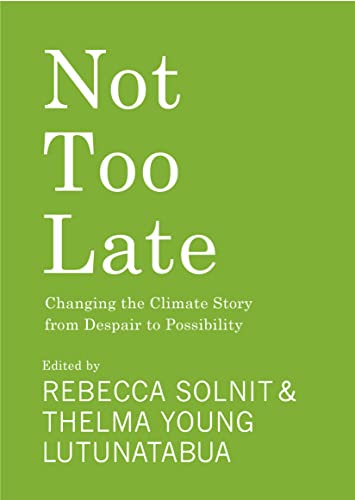Not Too Late: Changing the Climate Story from Despair to Possibility von Haymarket Books