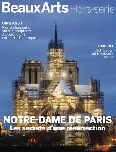Notre-Dame de Paris, les secrets d’une résurrection von BEAUX ARTS ED