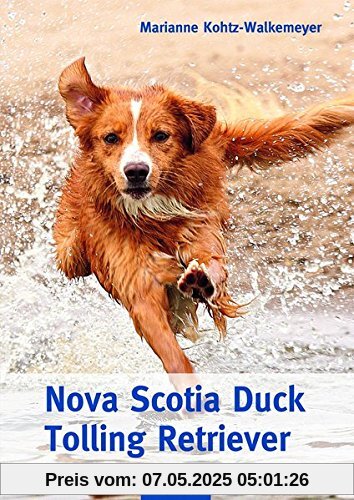 Nova Scotia Duck Tolling Retriever