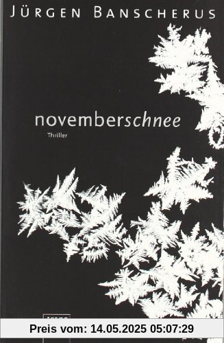 Novemberschnee