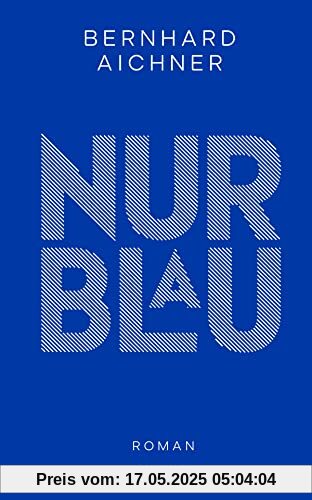 Nur Blau: Roman