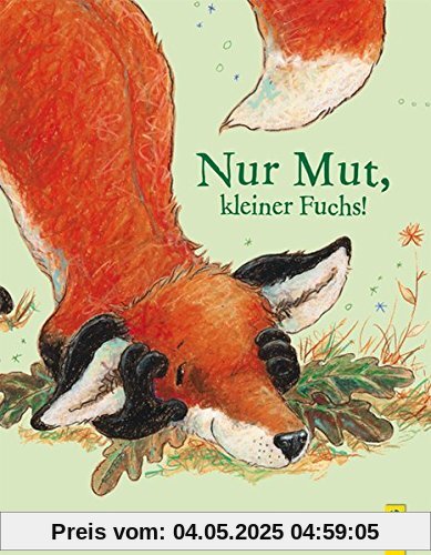 Nur Mut, kleiner Fuchs! (Der kleine Fuchs)