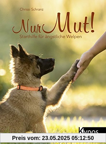 Nur Mut!: Starthilfe für ängstliche Welpen