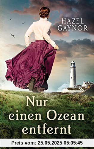 Nur einen Ozean entfernt: Roman