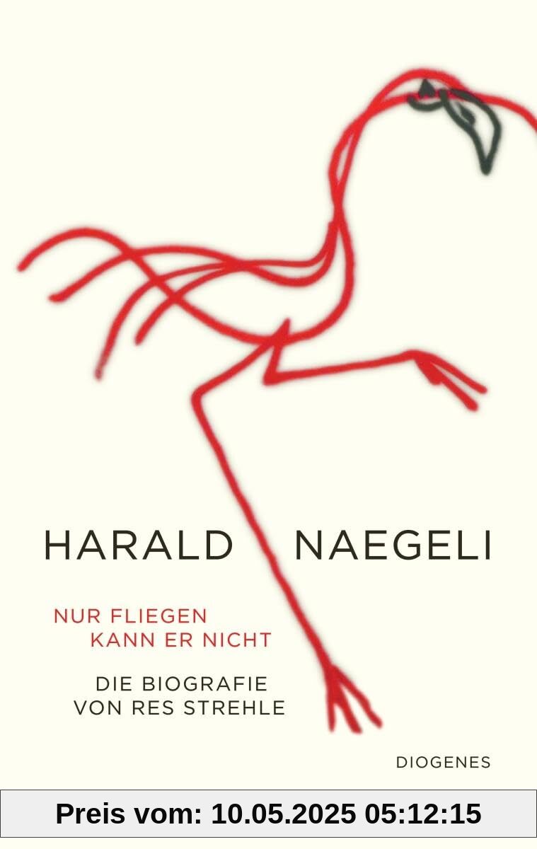 Nur fliegen kann er nicht: Harald Naegeli. Eine Biografie