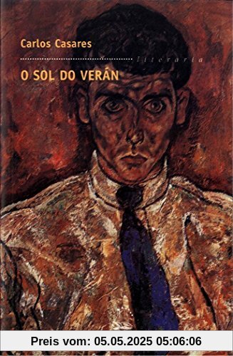 O sol do verán (Biblioteca Carlos Casares, Band 3)