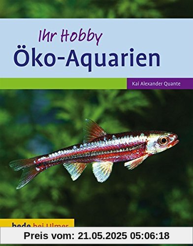 Öko-Aquarien: Umweltfreundlich, sparsam
