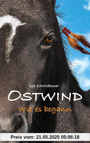 OSTWIND - Wie es begann OSTWIND - Wie es begann