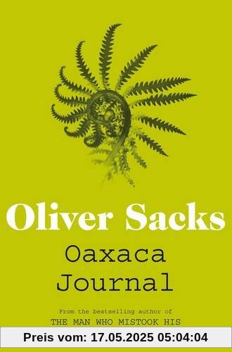 Oaxaca Journal