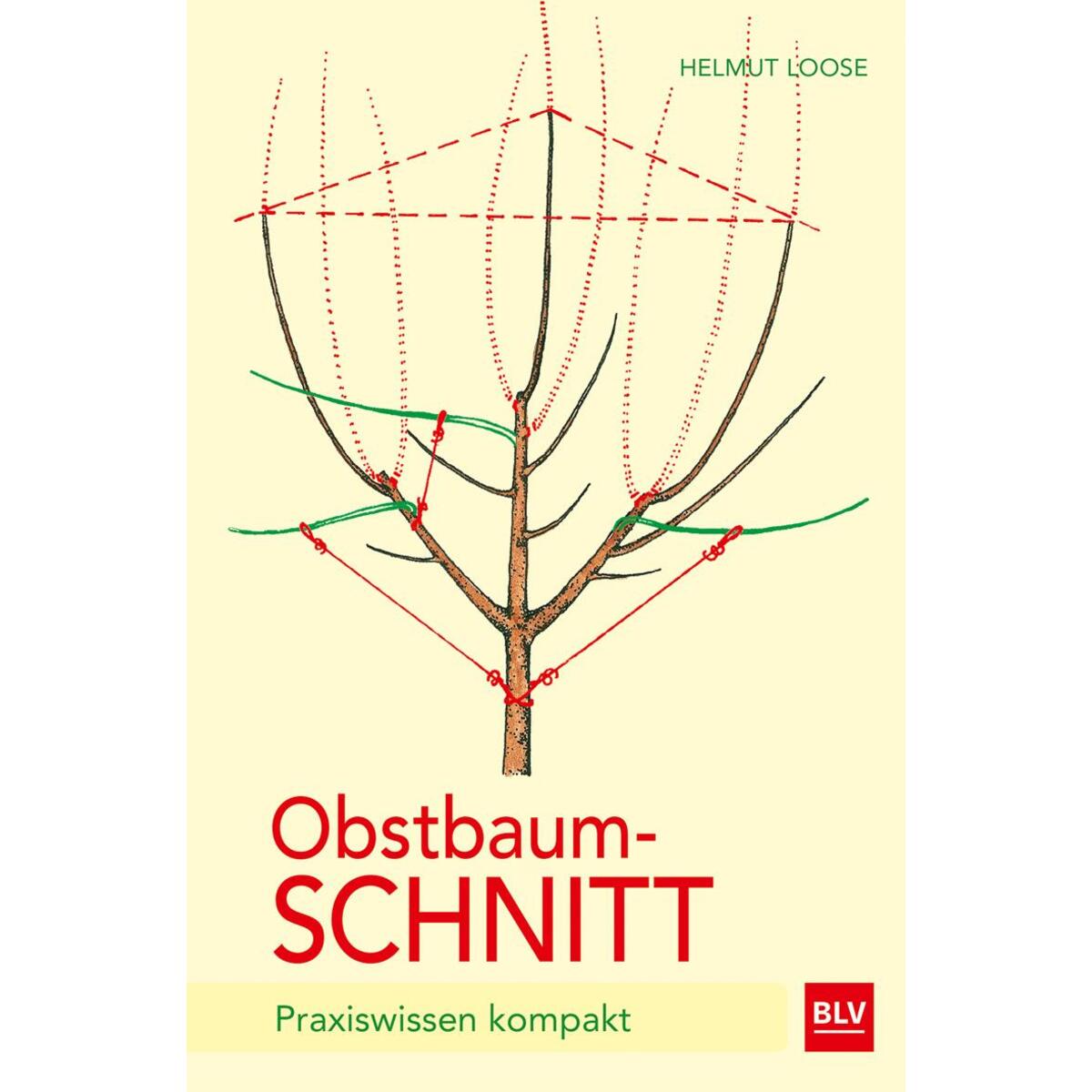 Obstbaumschnitt von Blv