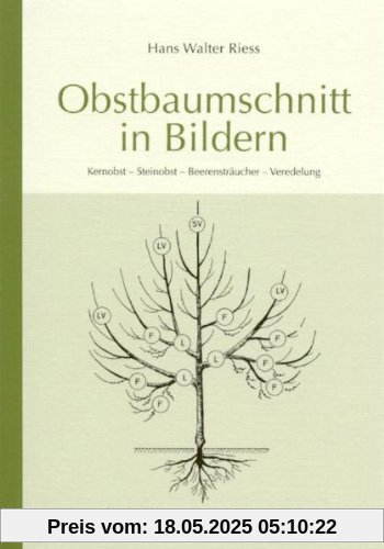 Obstbaumschnitt in Bildern: Kernobst - Steinobst - Beerensträucher - Veredlung Obstbaumschnitt in Bildern: Kernobst - Steinobst - Beerensträucher - Veredlung