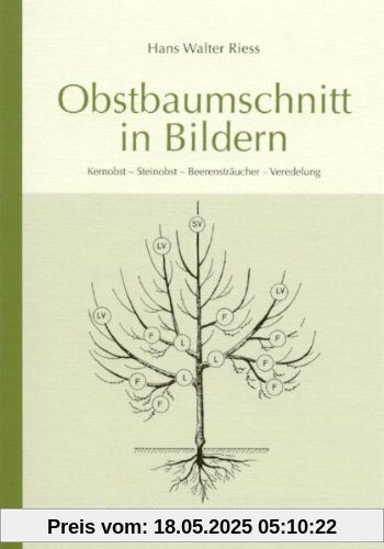 Obstbaumschnitt in Bildern: Kernobst - Steinobst - Beerensträucher - Veredlung