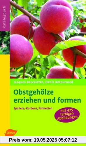 Obstgehölze erziehen und formen: Spaliere, Kordons, Palmetten Obstgehölze erziehen und formen: Spaliere, Kordons, Palmetten